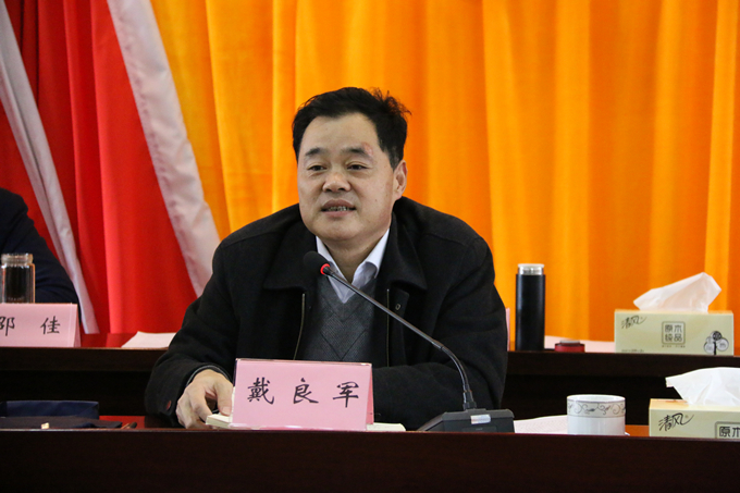 集團黨委委員、副總經(jīng)理、總工程師戴良軍發(fā)表講話